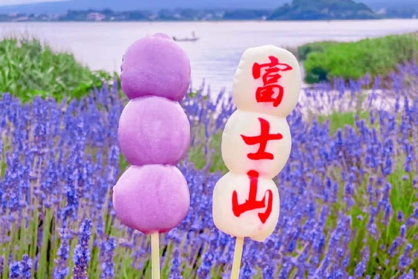 Mt. Fuji Heritage Tour: Traditional Villages, Lakes & Shrine - Lunch, coach comfort, and the real pace of the day
