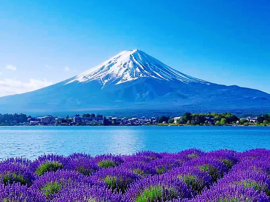 Mt. Fuji & Lake Kawaguchiko Ropeway Panorama Full-Day Tour - Is $54 a fair price?