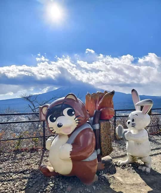 Mt. Fuji & Lake Kawaguchiko Ropeway Panorama Full-Day Tour - Who should book this tour?