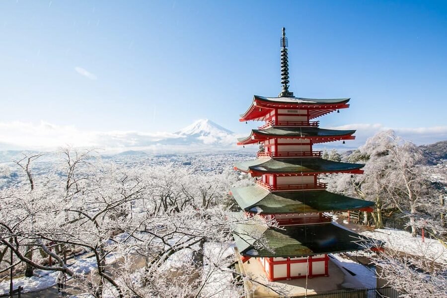 MT.Fuji: Mount Fuji Private day Tour With Guide - Saiko Iyashi-no-Sato Nenba and the final village stop