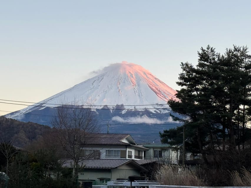 MT.Fuji: Mount Fuji Private day Tour With Guide - Oishi Park for flowers, dessert, and two views at once