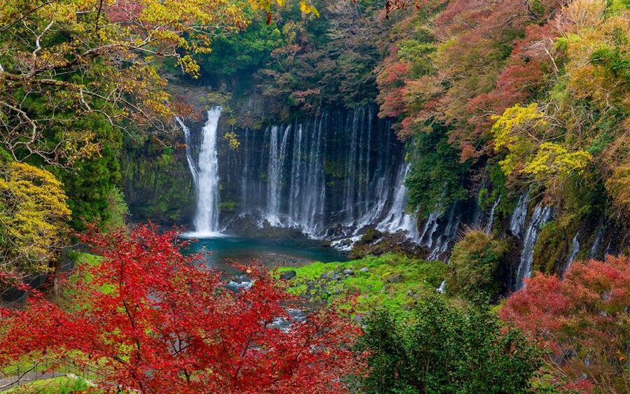 Mt Fuji : Private 10-Hour Luxury Tour by Exclusive Car - Lake Kawaguchiko and the Fuji Five Lakes View