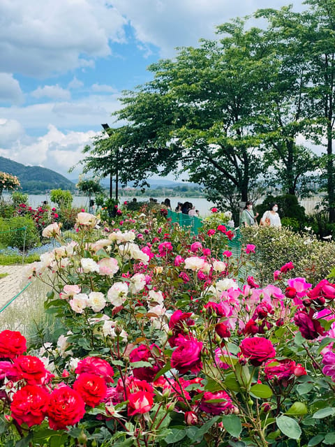 Mt Fuji Private Day Tour with English Speaking Driver - Gotemba Premium Outlet, only if time allows