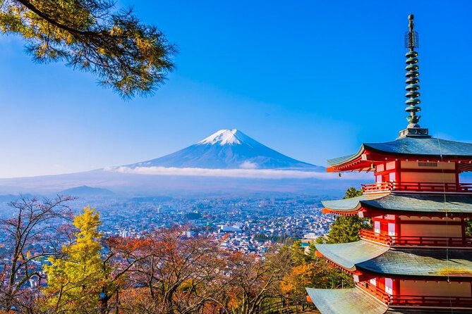 Mt Fuji Private Day Trip from Tokyo with English speaking driver - Key points to know before booking