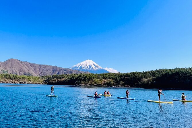 Mt Fuji Private Day Trip from Tokyo with English speaking driver - Oshino Hakkai and its eight ponds