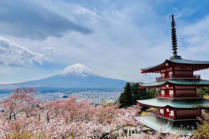 Mt Fuji Private Day Trip from Tokyo with English speaking driver - Mt Fuji Panoramic Ropeway