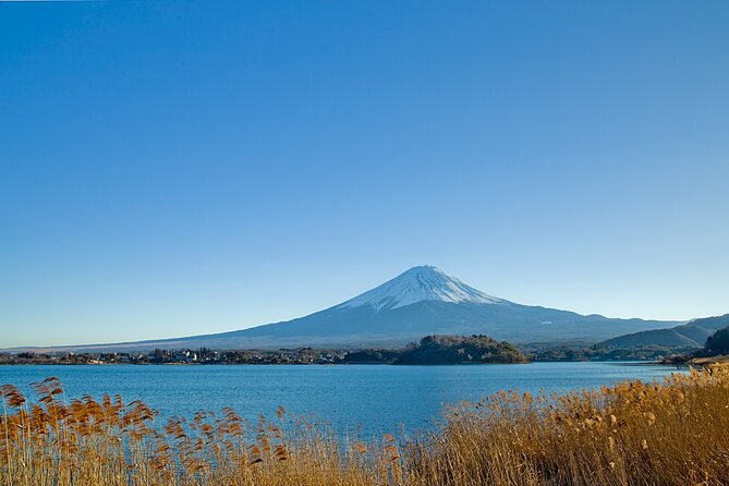 Mt Fuji Private Day Trip from Tokyo with English speaking driver - A realistic 10-hour route from Tokyo