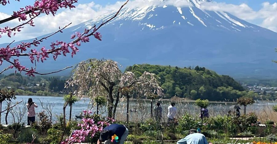 Mt.FUji private Full Day Trip with English Driver - Lake Kawaguchi and Oishi Park