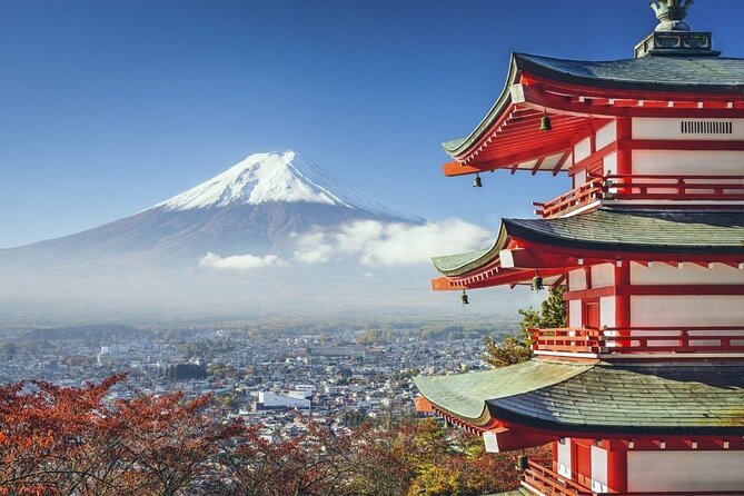 Mt. Fuji Private Tour by Car with Pick-up from Tokyo - Key points to know before booking