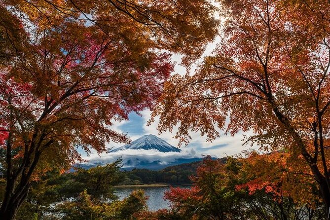 Mt. Fuji Private Tour by Car with Pick-up from Tokyo - Oshino Hakkai shows Fuji’s water at village level