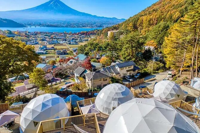 Mt. Fuji Private Tour by Car with Pick-up from Tokyo - Chureito Pagoda gives you the classic Fuji photograph