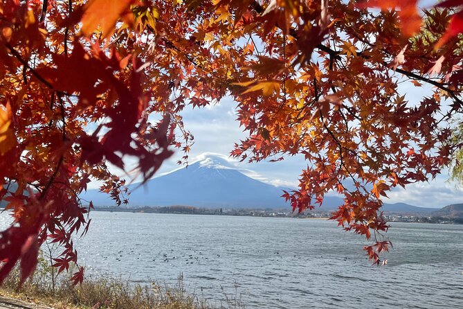 Mt Fuji Private Tour with English Speaking Driver - Why a private car makes this Fuji day easier