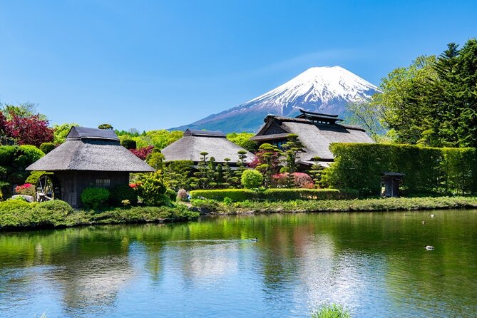 Mt Fuji Private Tour with English Speaking Driver - The Mt. Fuji Panoramic Ropeway, an optional extra