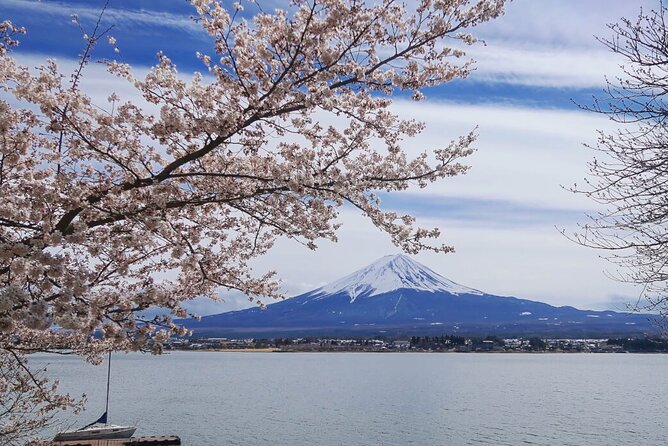 Mt Fuji Private Tour with English Speaking Driver - Kitaguchi Hongu Fuji Sengen Shrine