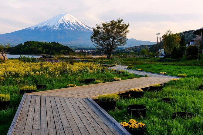 Mt Fuji Private Tour with English Speaking Driver - What your driver adds to the day