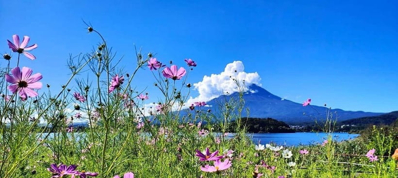 Mt. Fuji Private Tour With Hotel Pick Up From Tokyo - Subaru Line Fifth Station at 2,300 meters
