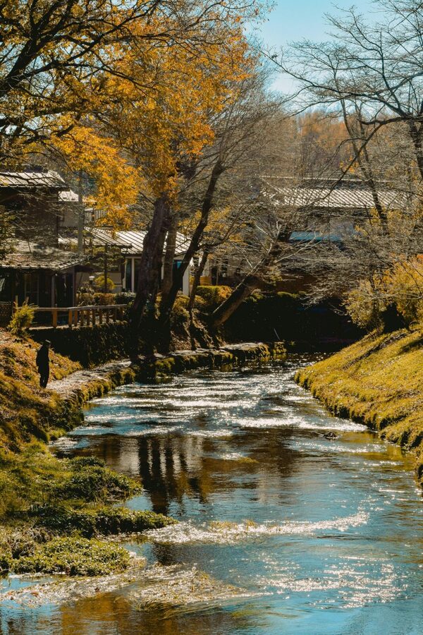 Mt. Fuji Private Tour With Hotel Pick Up From Tokyo - Saiko Iyashi-no-Sato Nenba and a quieter cultural stop