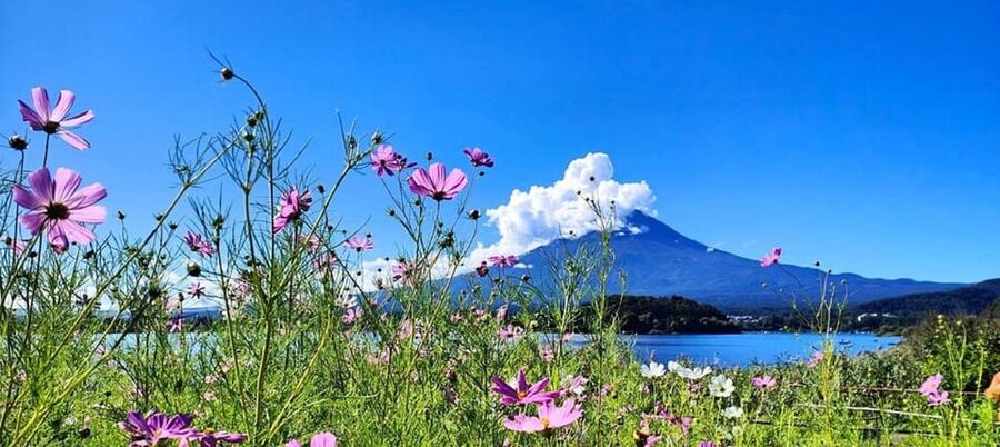 Mt. Fuji Private Tour With Hotel Pick Up From Tokyo - Chureito Pagoda and the classic Fuji photograph