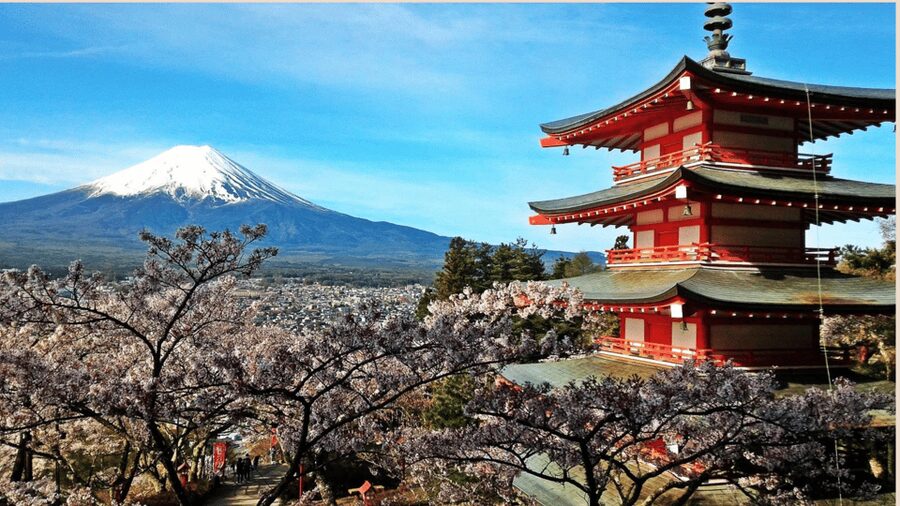 Mt Fuji Sightseeing Private tour with English Speaking Guide - Arakurayama Sengen Park and Chureito Pagoda
