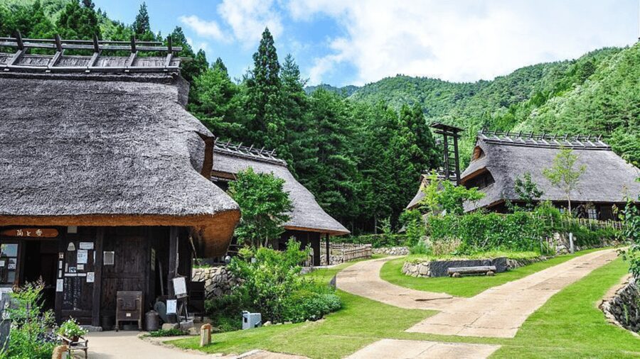 Mt Fuji Sightseeing Private tour with English Speaking Guide - Kitaguchi-hongu Fuji Sengen Shrine and Aokigahara Forest