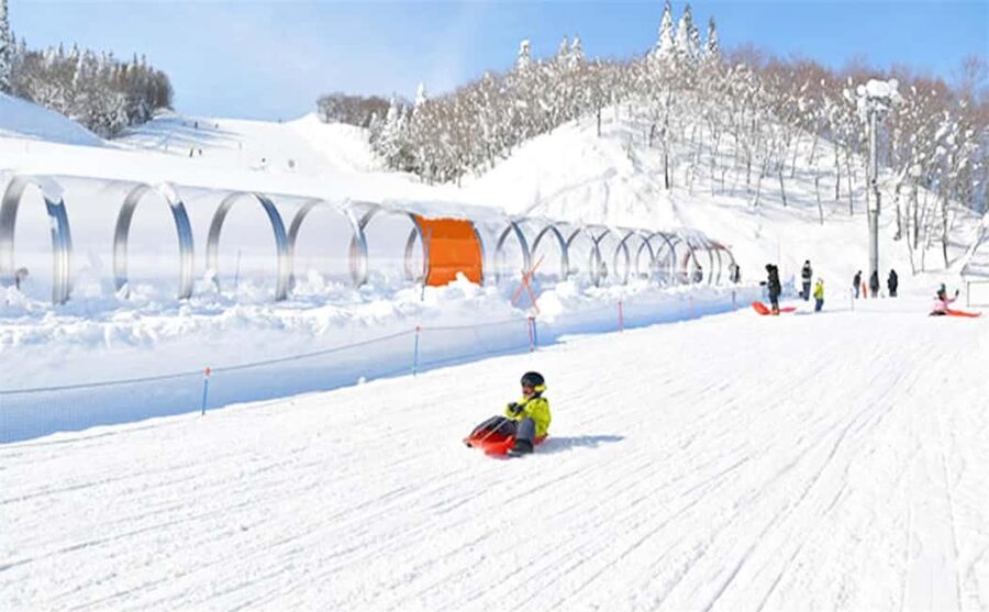 Mt. Fuji Skiing Experience- YETI Ski Resort & Onsen Day Trip - What the skiing is really like for beginners