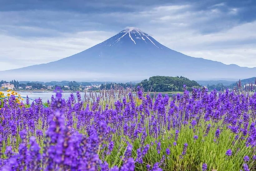 Mt Fuji Top 5 Spots Day Tour: Arakurayama Park,Oshino Hakkai - The Fuji views and practical details worth knowing