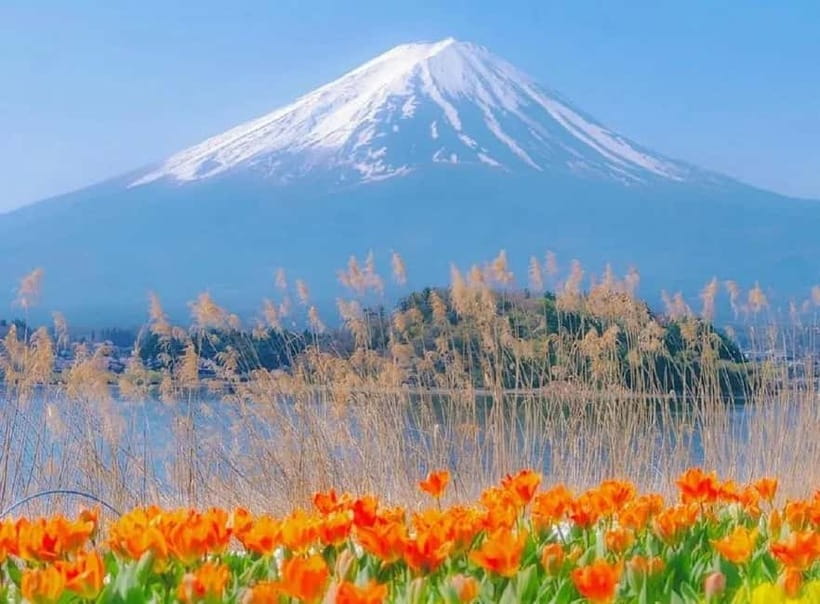 Mt Fuji Top 5 Spots Day Tour: Arakurayama Park,Oshino Hakkai - Why this $53 Mount Fuji day trip makes sense