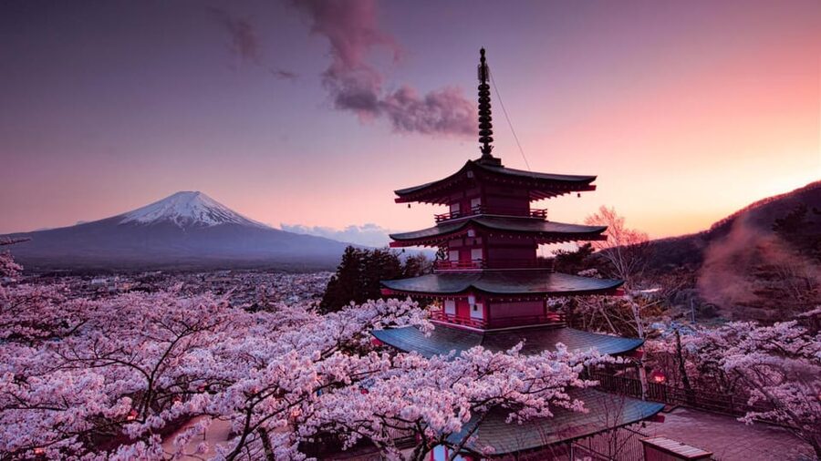 Mt Fuji Tour With Experienced English Driver - A private route from Tokyo to the foot of Mount Fuji