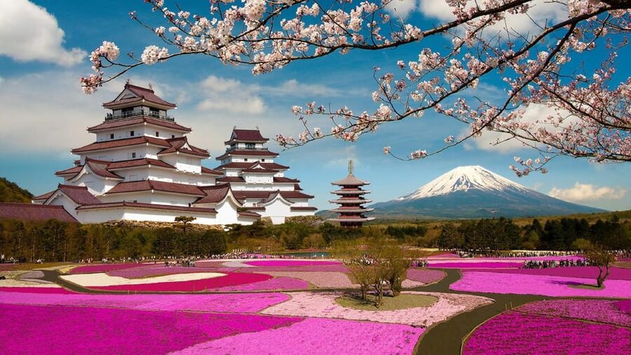 Mt Fuji Tour With Experienced English Driver - Lake Kawaguchi and Oishi Park