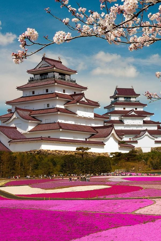 Mt Fuji Tour With Experienced English Driver - Weather, timing, and how to prepare