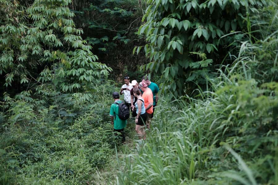 Mt. Merapi Majesty: Soft Trek and Botanic Village Tour - Key points to know before you book