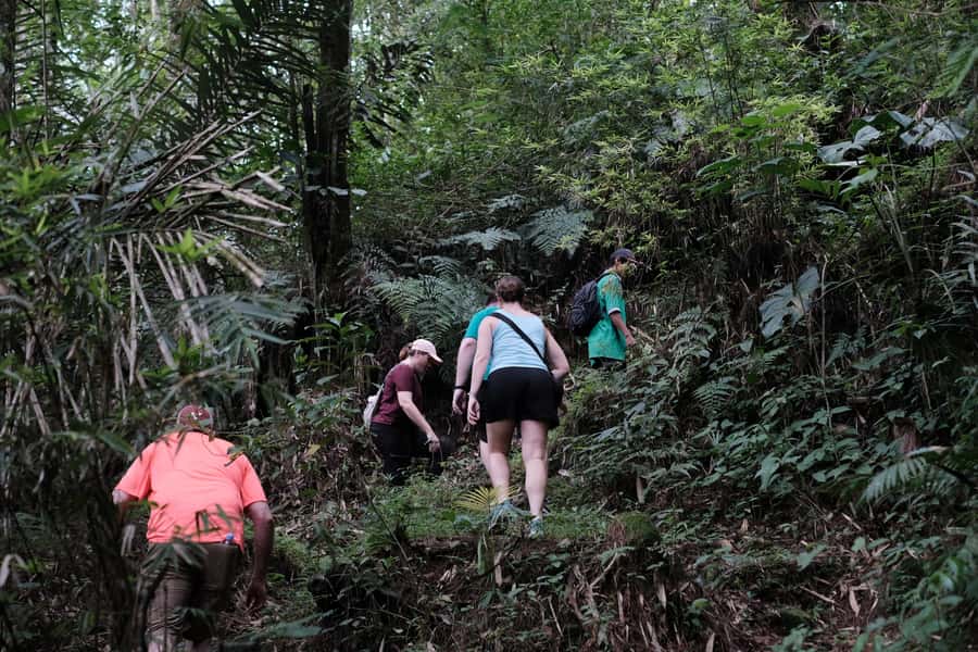 Mt. Merapi Majesty: Soft Trek and Botanic Village Tour - Why this Mount Merapi outing feels different