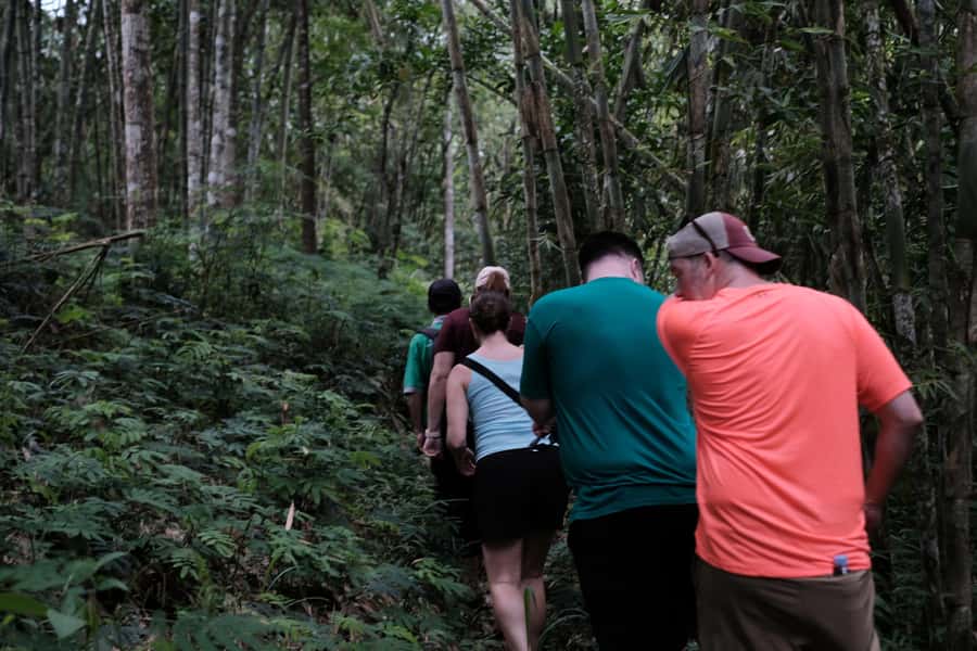Mt. Merapi Majesty: Soft Trek and Botanic Village Tour - Three hours in the traditional village