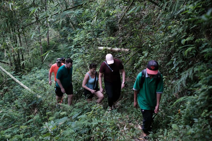 Mt. Merapi Majesty: Soft Trek and Botanic Village Tour - Getting a view of Mount Merapi