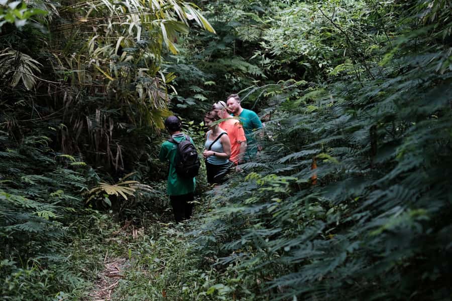 Mt. Merapi Majesty: Soft Trek and Botanic Village Tour - What the guide adds to the experience