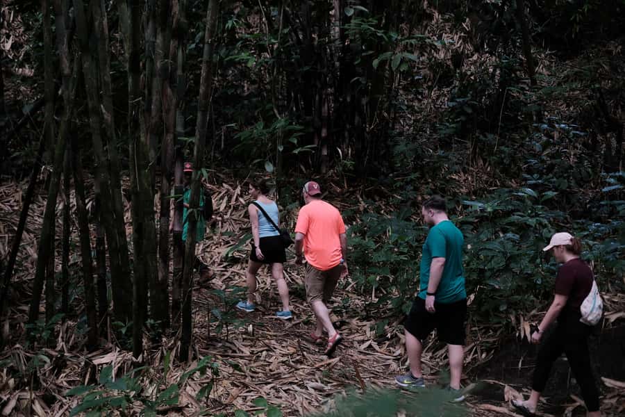 Mt. Merapi Majesty: Soft Trek and Botanic Village Tour - Is $68 good value for six hours?