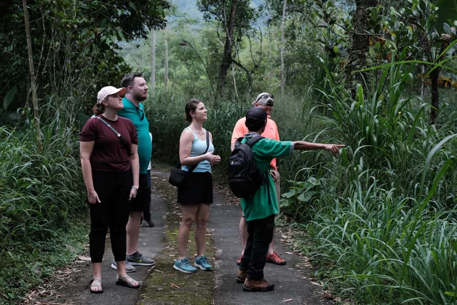 Mt. Merapi Majesty: Soft Trek and Botanic Village Tour - Leaving Yogyakarta for the mountain foothills
