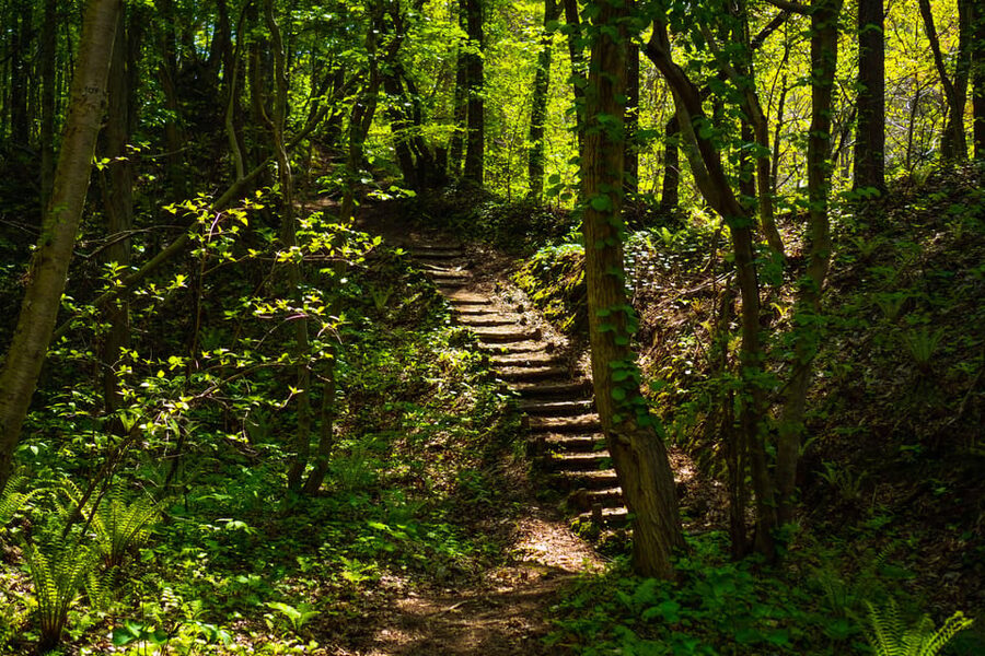 Mt. Usu: Hike to the crater and see the stunning Lake Toya! - Is the $161 price good value?