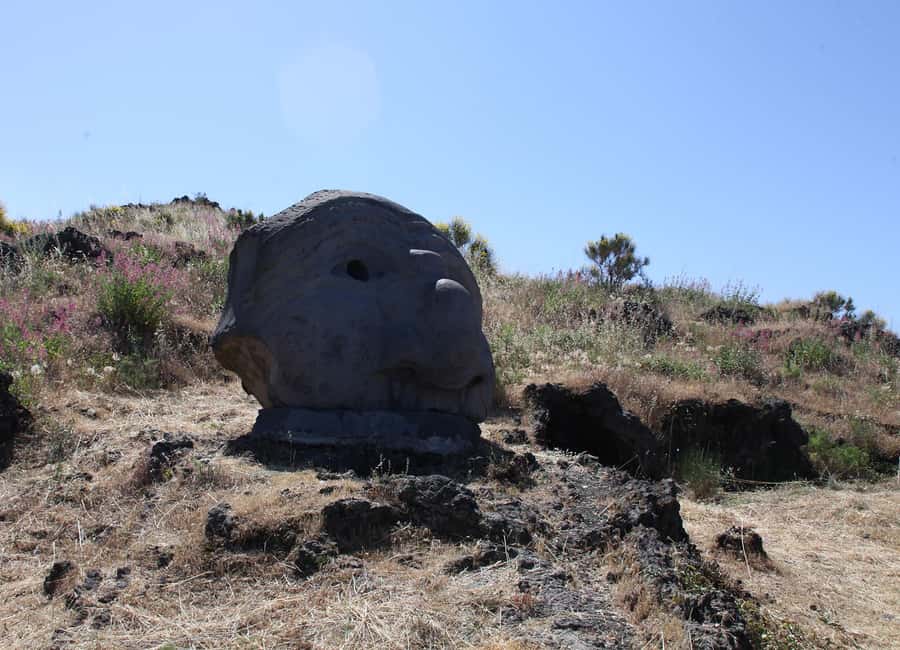 Naples: Mount Vesuvius Entry Ticket and Transfer - What the 90-minute visit really allows