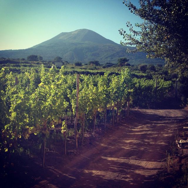Naples: Mount Vesuvius Vineyard Tour w/ Lunch & Wine Tasting - Is $65 a fair price?