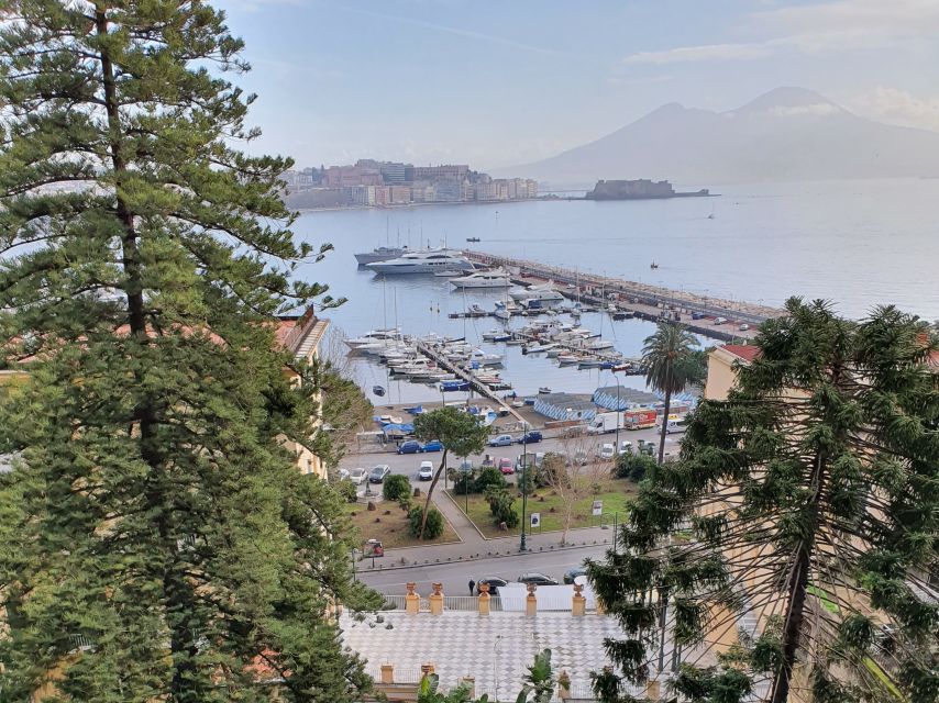Naples: Naples, Pompeii, and Vesuvius Full-Day Tour - Guides, vehicles, and the rhythm of the day