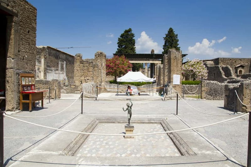 Naples or Sorrento: Full-Day Pompeii and Mount Vesuvius Tour - Meeting in Naples or Sorrento