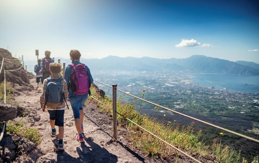 Naples: Pompeii & Mt. Vesuvius Day Trip with Tickets & Lunch - At a glance