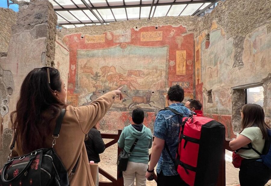 Naples: Pompeii & Mt. Vesuvius Day Trip with Tickets & Lunch - Why this Pompeii and Vesuvius combination works