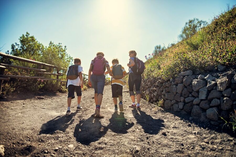 Naples: Pompeii & Mt. Vesuvius Day Trip with Tickets & Lunch - Timing, comfort, and practical limits
