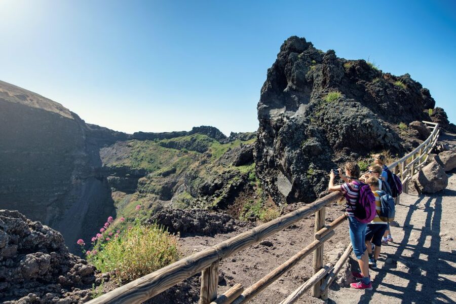 Naples: Pompeii & Mt. Vesuvius Day Trip with Tickets & Lunch - Who should book this day trip?