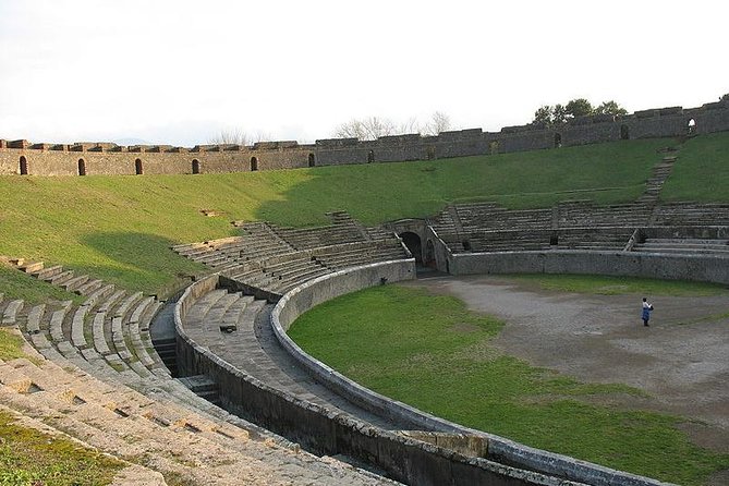Naples Shore Excursion Mt Vesuvius and Pompeii Day Trip - Group size, transfers, and ship safety