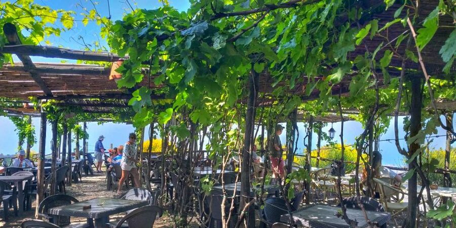 Naples: Vesuvius Half-Day Trip with Lunch and Wine Tasting - The timing needs a careful check
