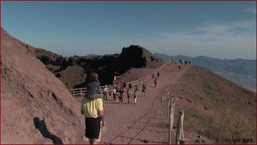 Naples: Vesuvius Half-Day Trip with Lunch and Wine Tasting - Who will enjoy this half-day trip?