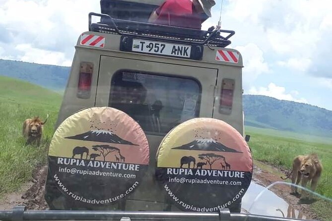 Ngorongoro Crater Day Trip - Why Ngorongoro Crater makes a strong one-day safari